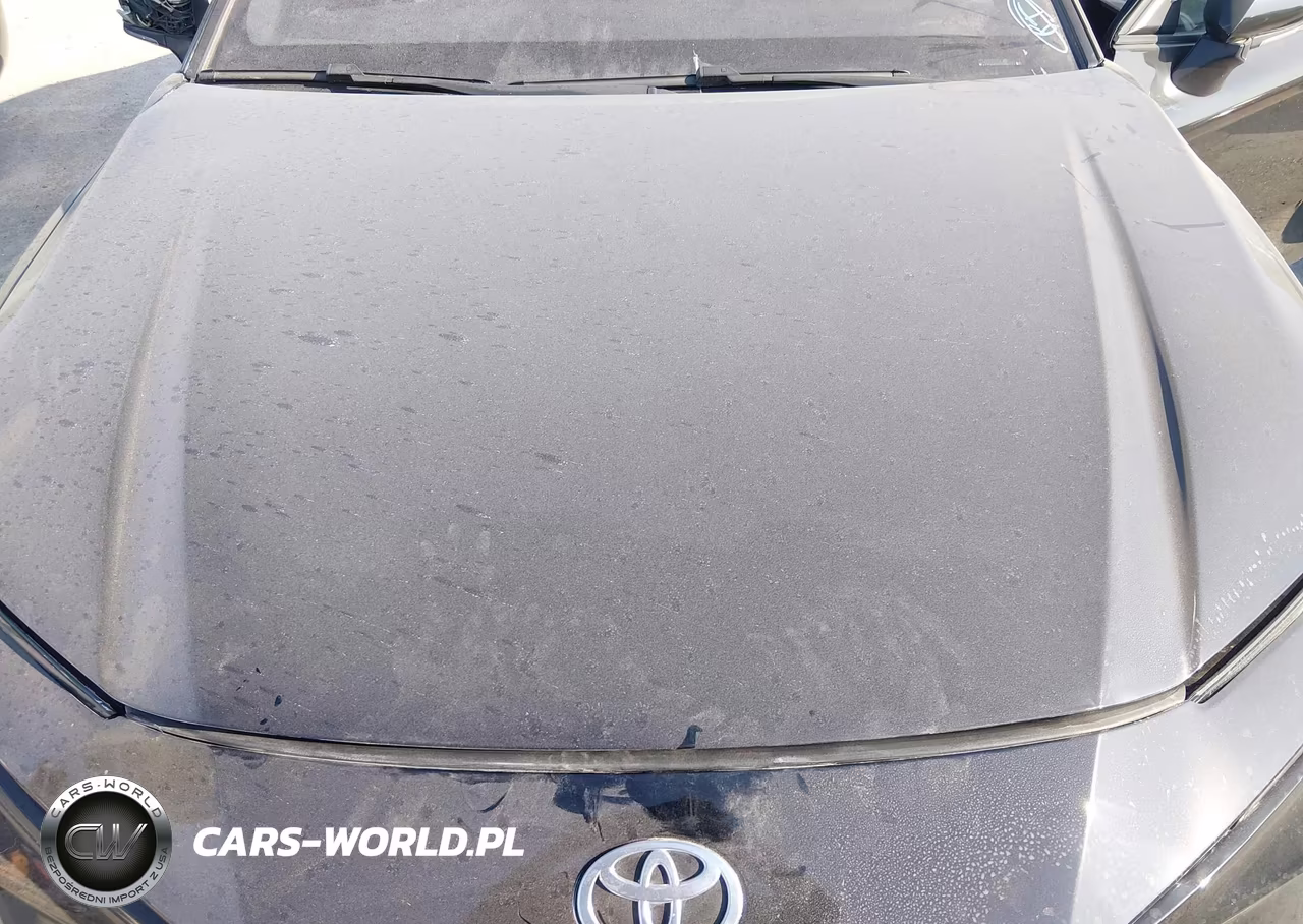 2025 Toyota Camry Se VIN:4T1DAACK0SU591441 - 10