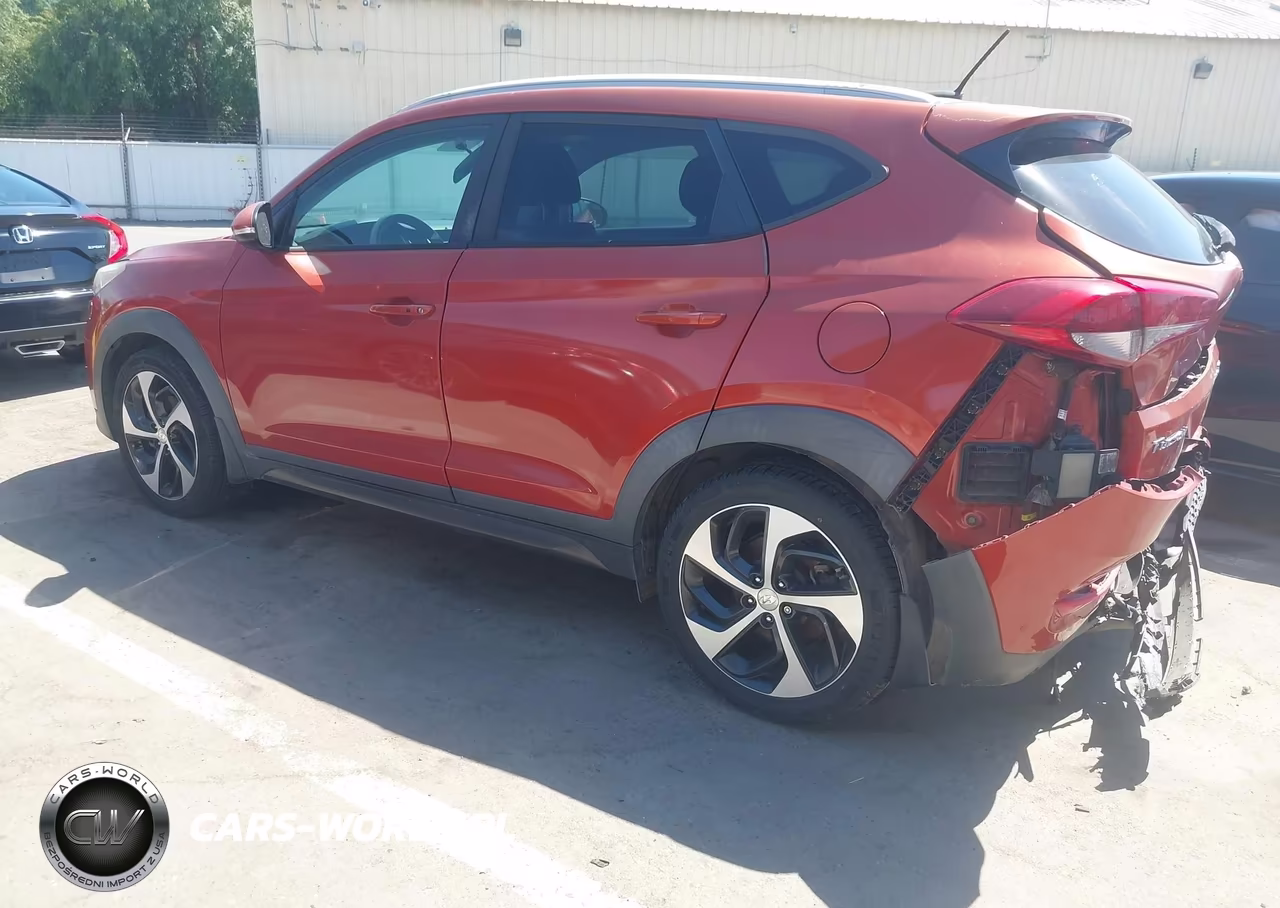 2016 Hyundai Tucson Sport VIN:KM8J33A23GU140667 - 3