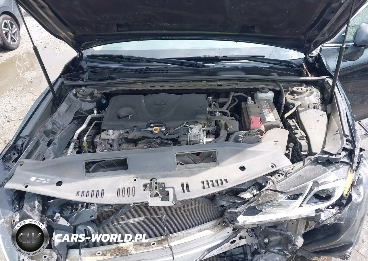 2019 Toyota Camry Le VIN:4T1B11HK4KU723407 - 10