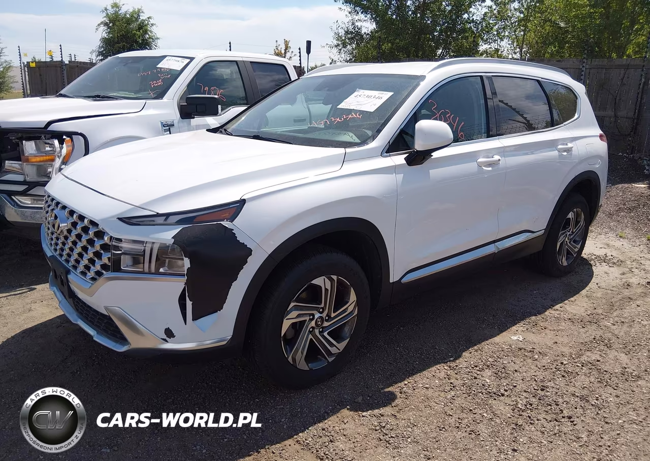 2021 Hyundai Santa Fe Sel VIN:5NMS2DAJ2MH369398 - 2