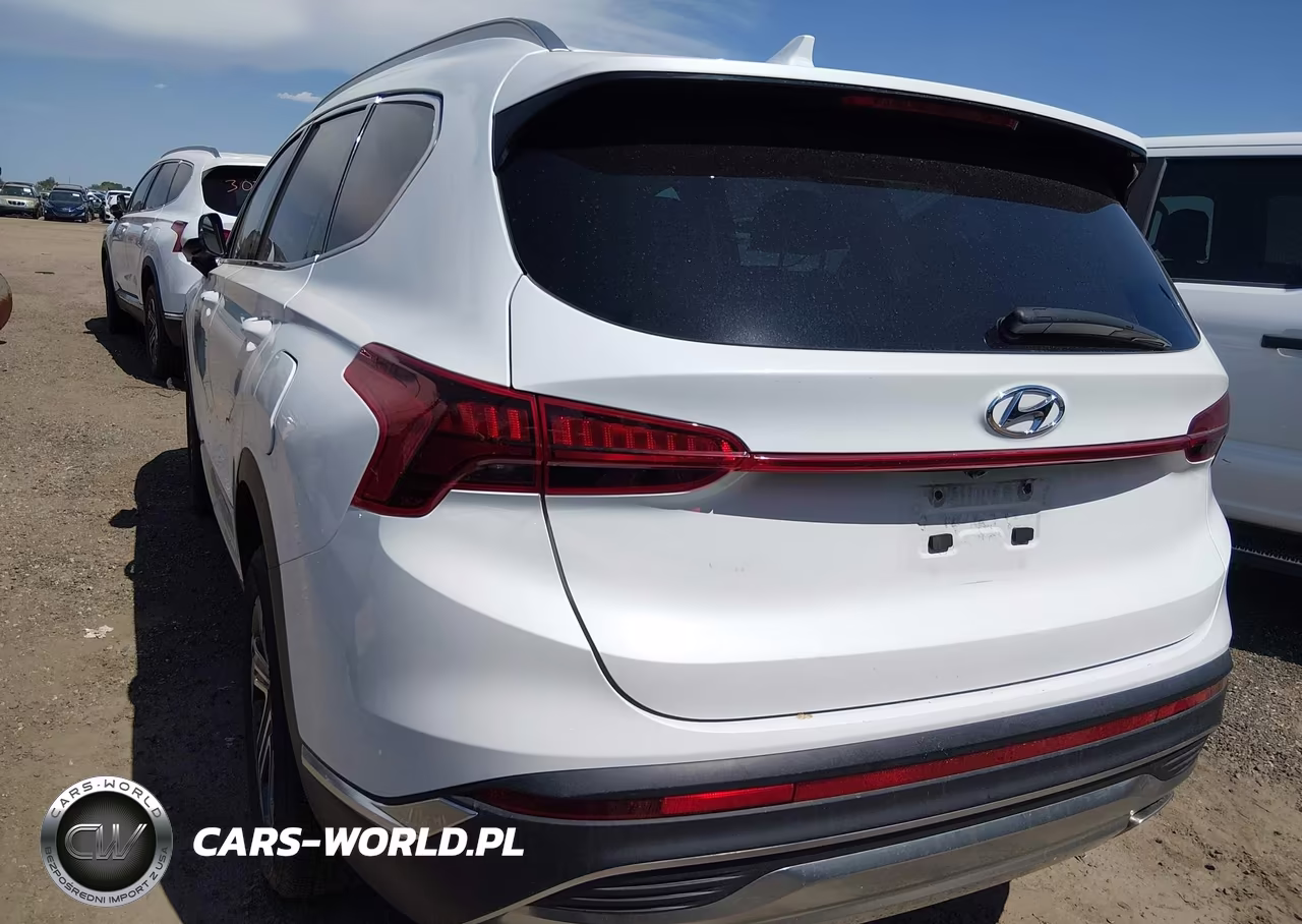 2021 Hyundai Santa Fe Sel VIN:5NMS2DAJ2MH369398 - 3
