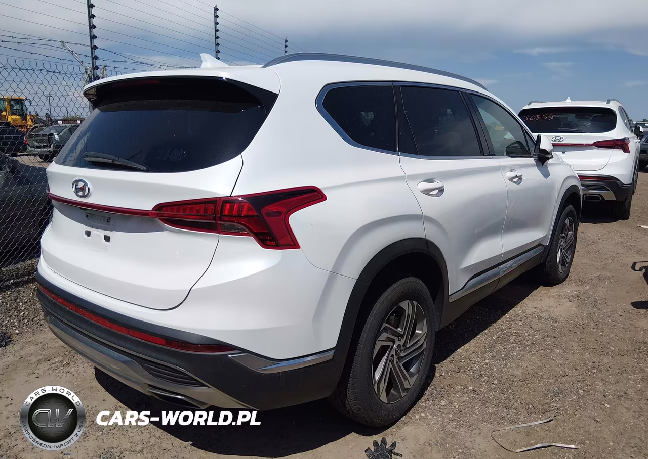 2021 Hyundai Santa Fe Sel VIN:5NMS2DAJ2MH369398 - 4