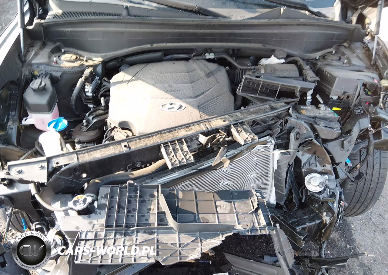 2024 Hyundai Palisade Calligraphy VIN:KM8R7DGE9RU727988 - 10