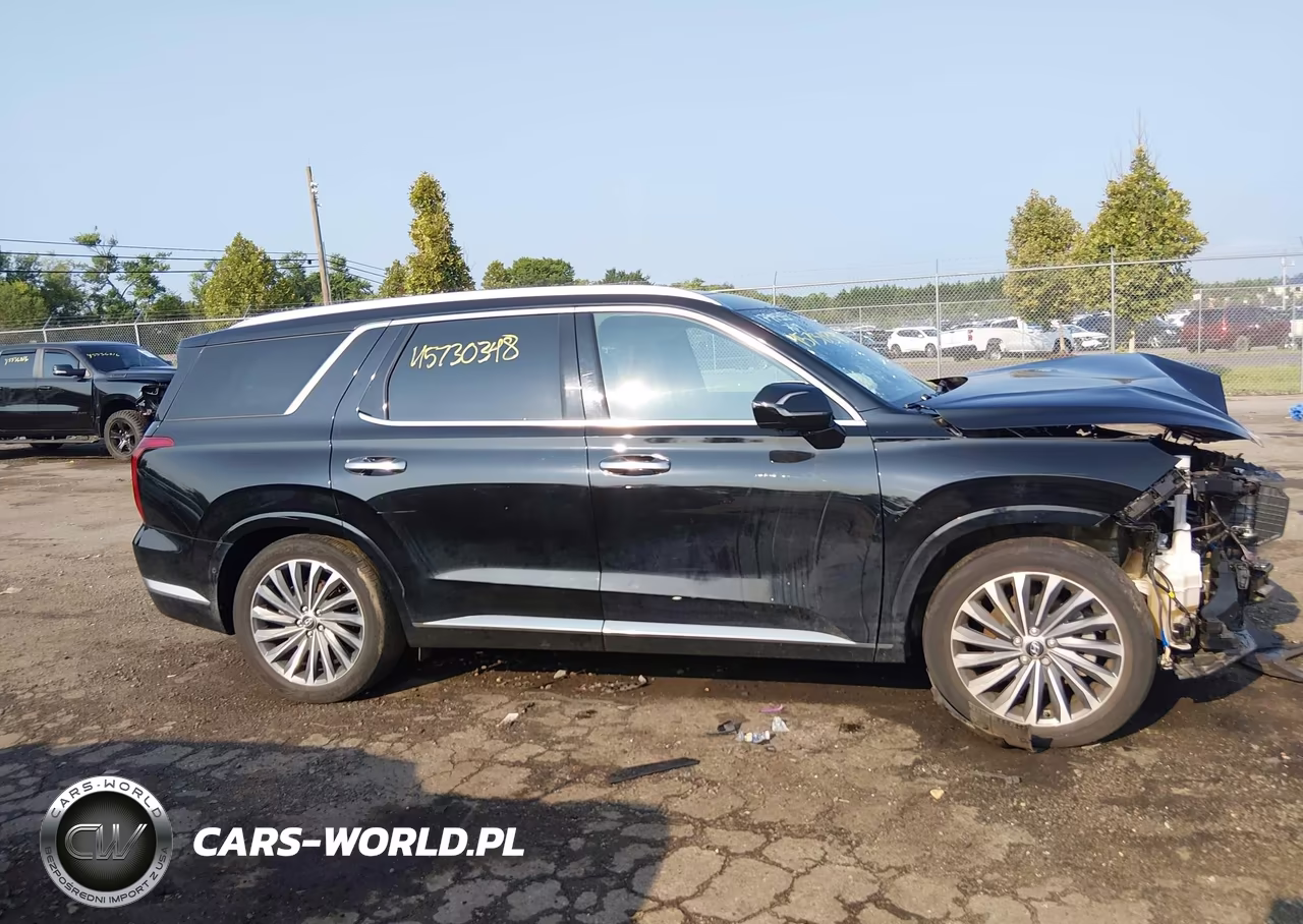 2024 Hyundai Palisade Calligraphy VIN:KM8R7DGE9RU727988 - 13