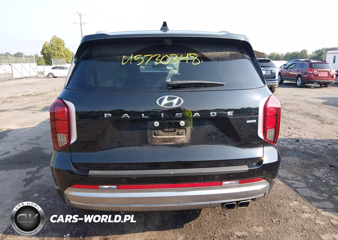 2024 Hyundai Palisade Calligraphy VIN:KM8R7DGE9RU727988 - 16