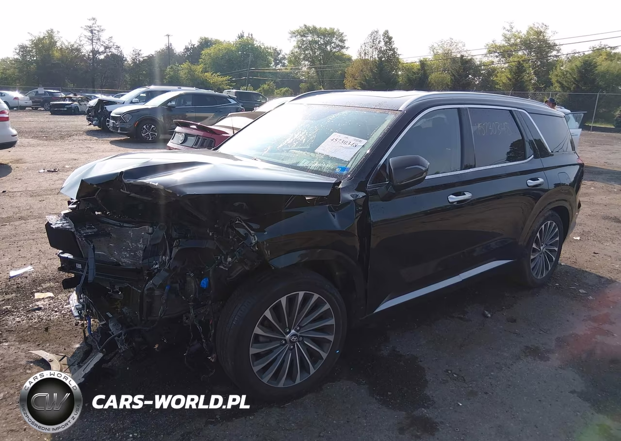2024 Hyundai Palisade Calligraphy VIN:KM8R7DGE9RU727988 - 2