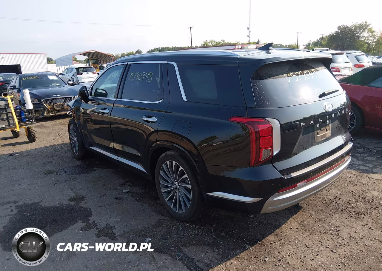 2024 Hyundai Palisade Calligraphy VIN:KM8R7DGE9RU727988 - 3