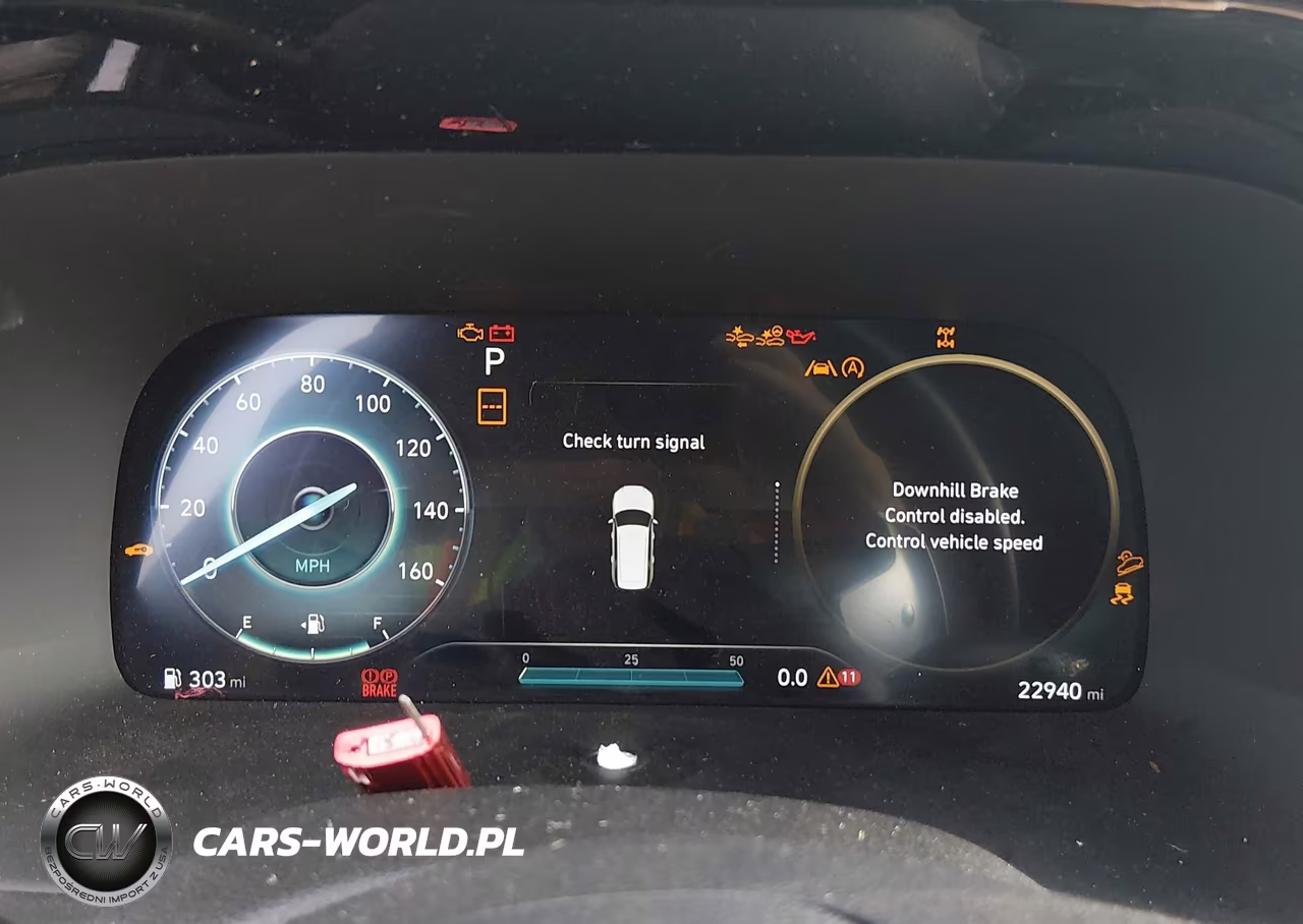 2024 Hyundai Palisade Calligraphy VIN:KM8R7DGE9RU727988 - 7