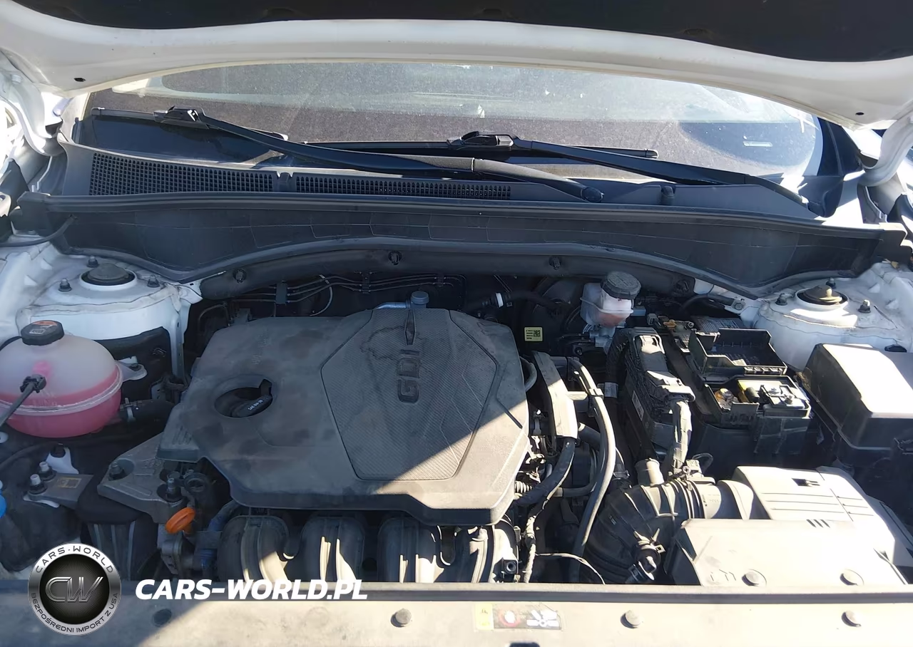 2021 Hyundai Santa Fe Sel VIN:5NMS2DAJ3MH369569 - 10