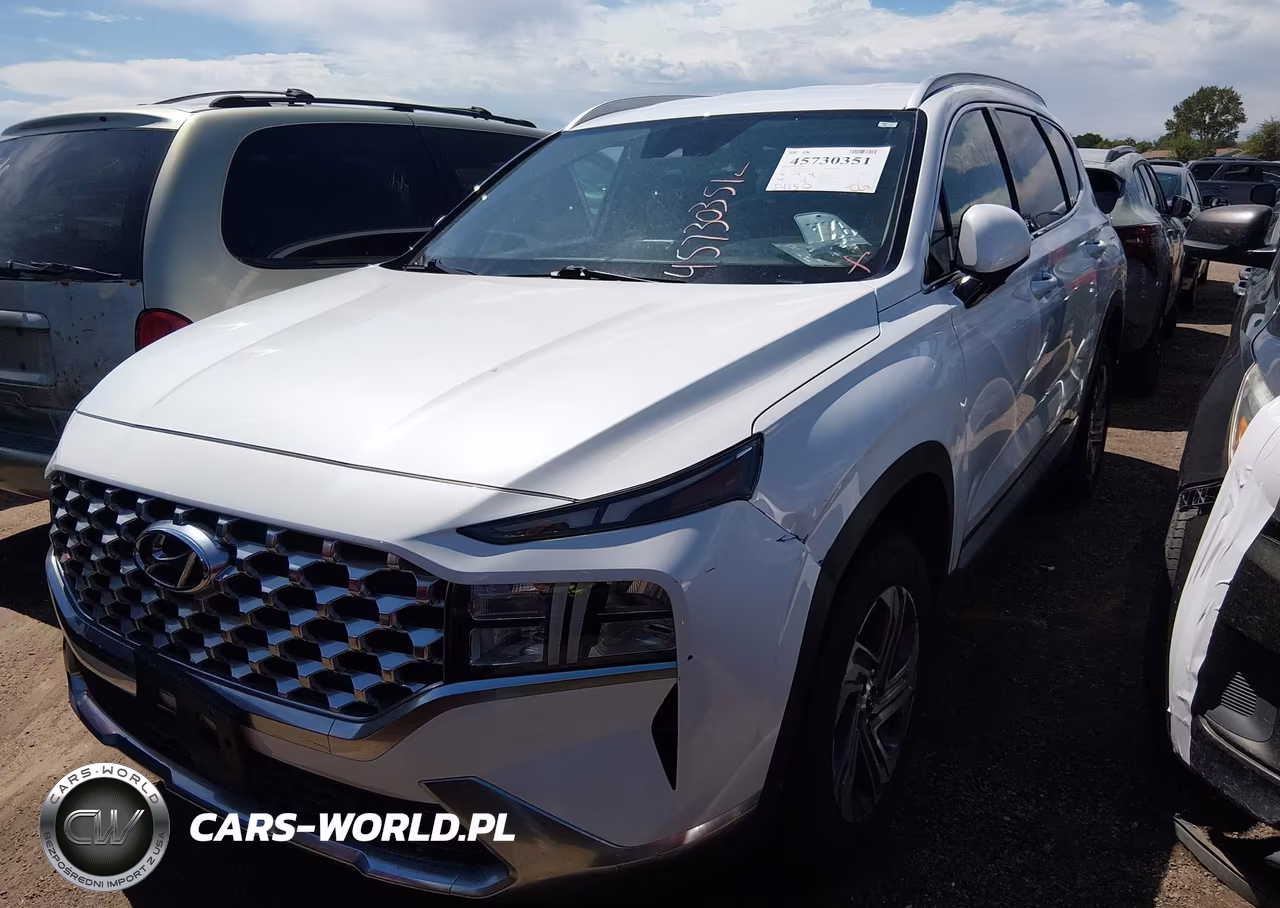 2021 Hyundai Santa Fe Sel VIN:5NMS2DAJ3MH369569 - 2