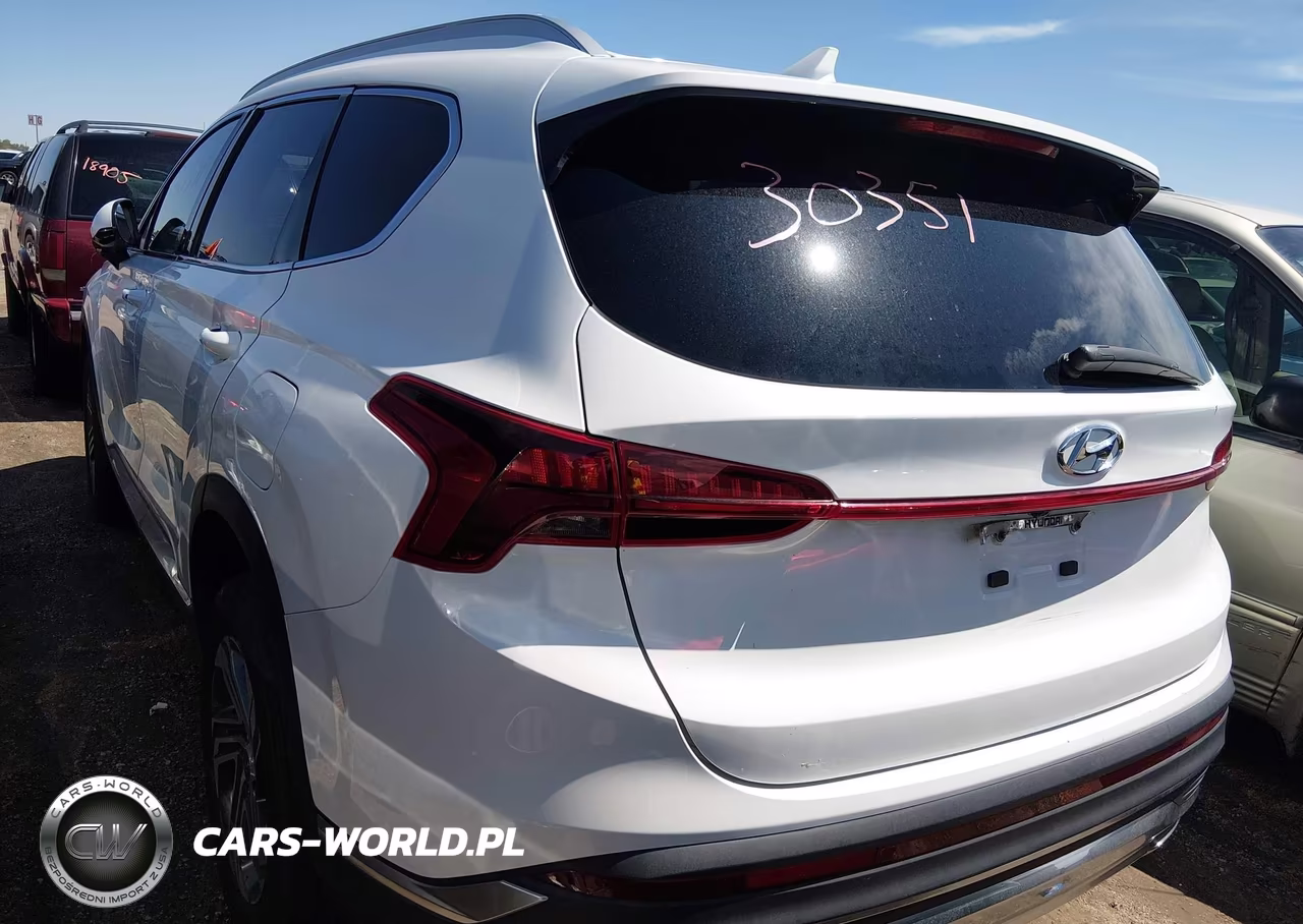 2021 Hyundai Santa Fe Sel VIN:5NMS2DAJ3MH369569 - 3