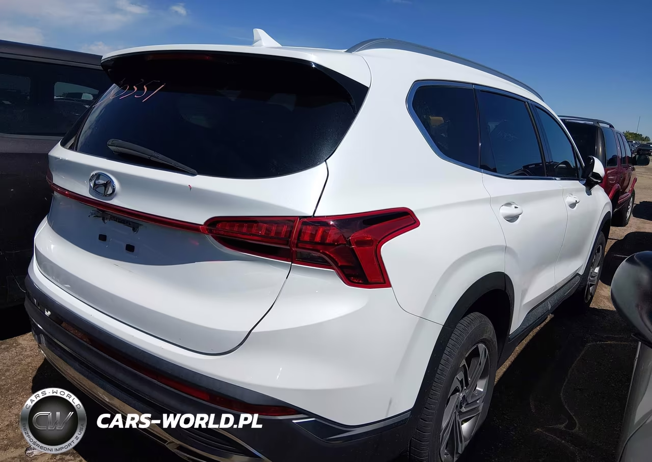 2021 Hyundai Santa Fe Sel VIN:5NMS2DAJ3MH369569 - 4