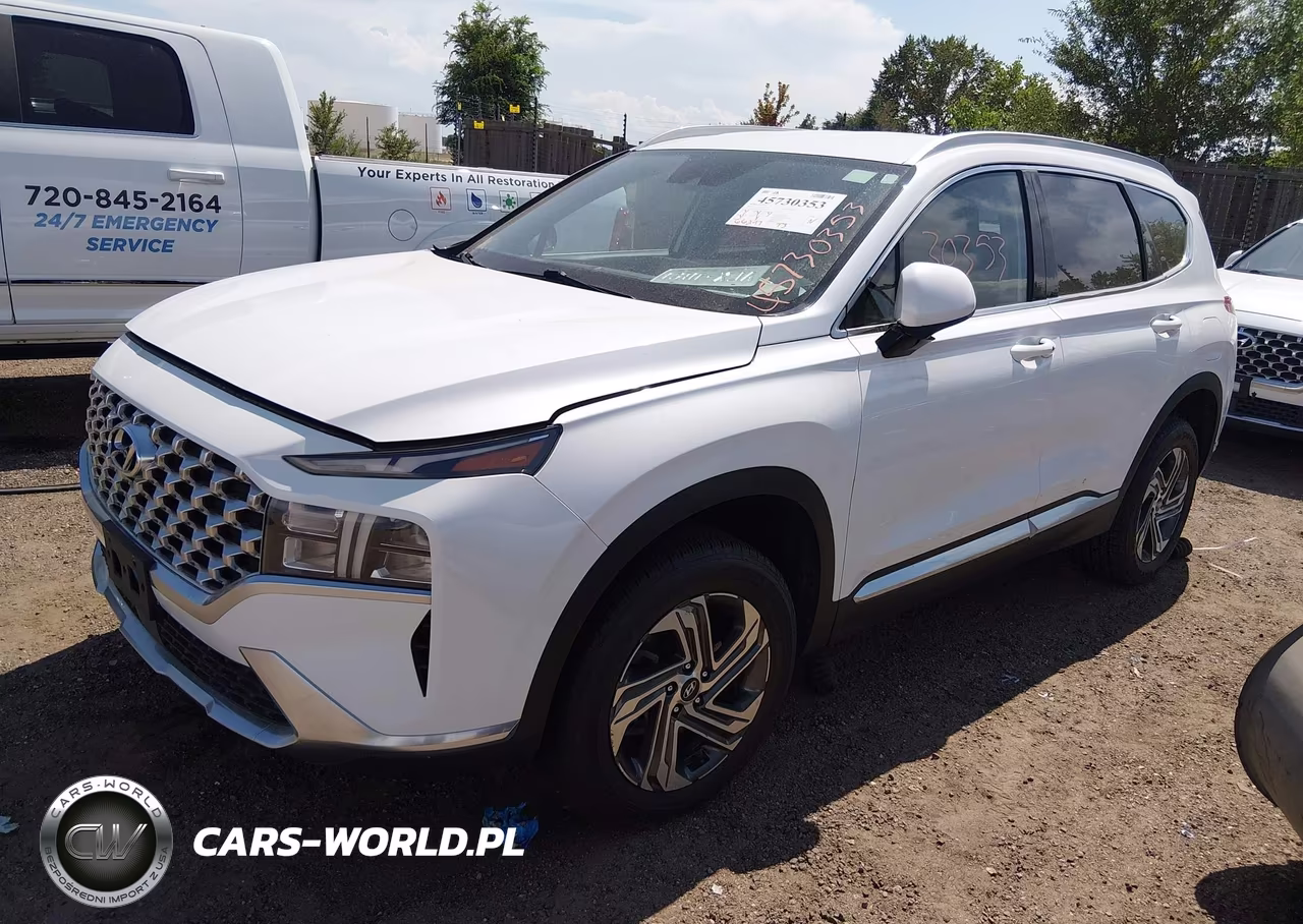 2021 Hyundai Santa Fe Sel VIN:5NMS2DAJ7MH369560 - 2