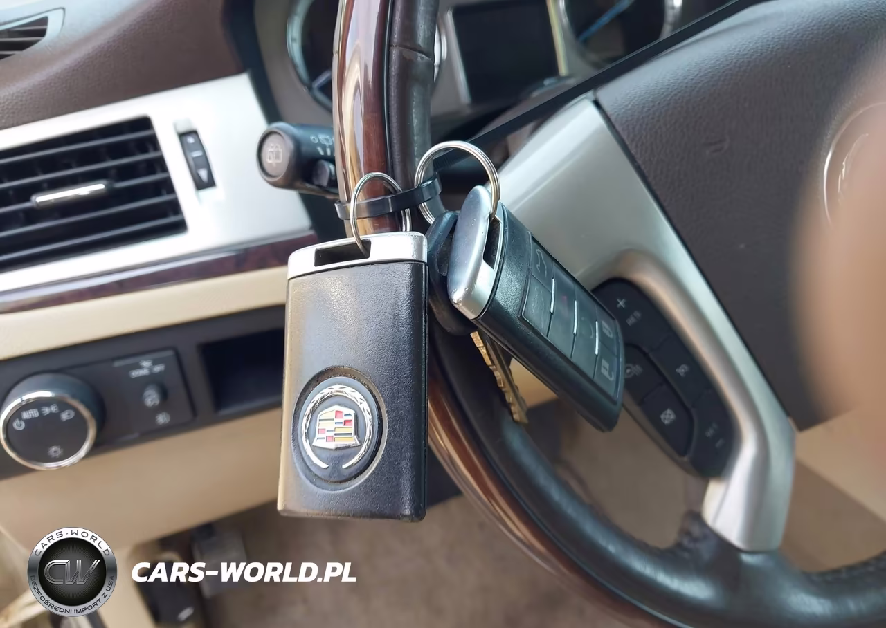 2010 Cadillac Escalade Esv Premium VIN:1GYUKJEF7AR107021 - 11