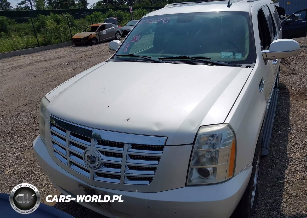 2010 Cadillac Escalade Esv Premium VIN:1GYUKJEF7AR107021 - 12