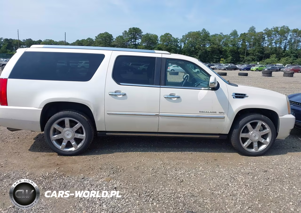 2010 Cadillac Escalade Esv Premium VIN:1GYUKJEF7AR107021 - 13