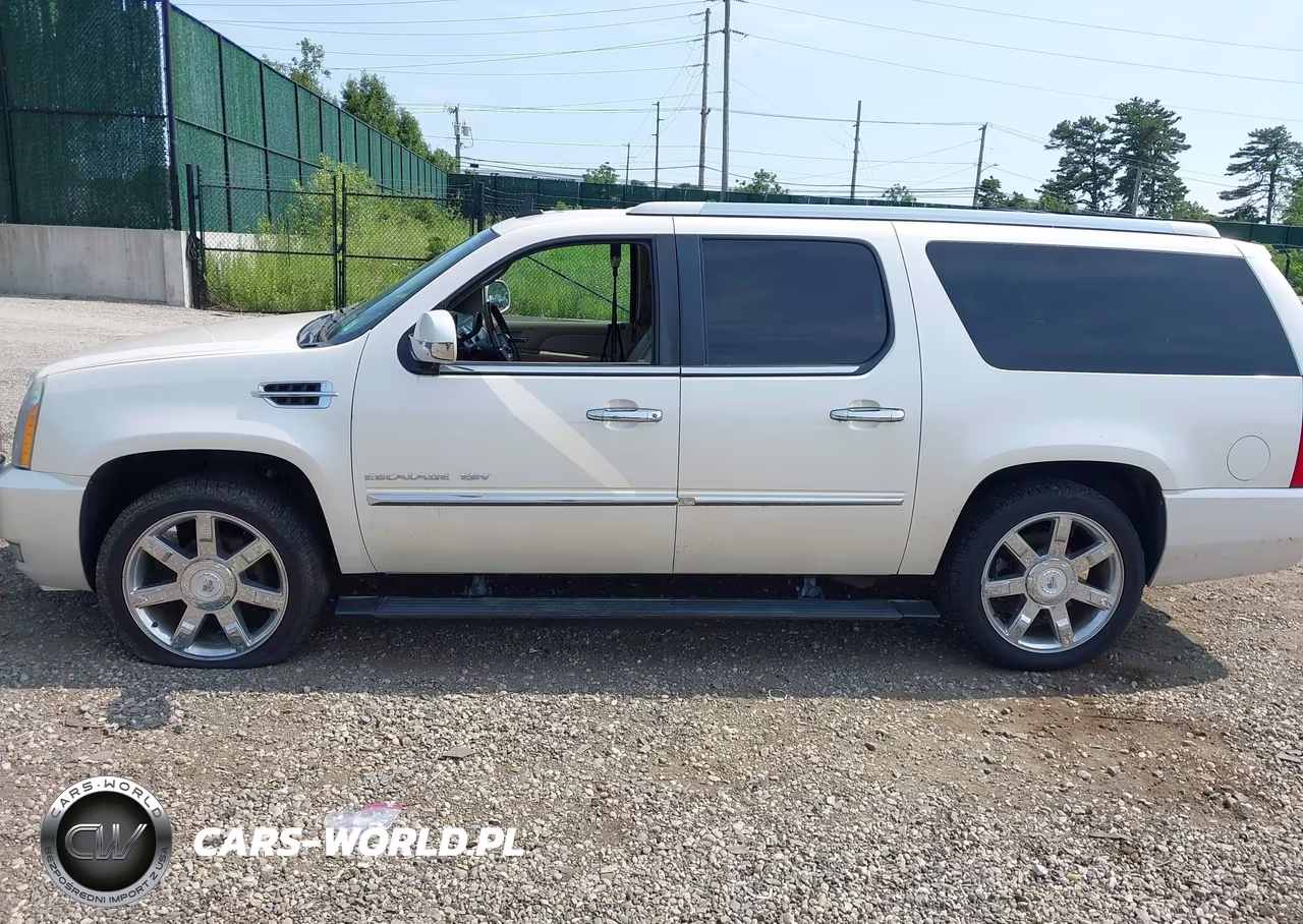 2010 Cadillac Escalade Esv Premium VIN:1GYUKJEF7AR107021 - 14