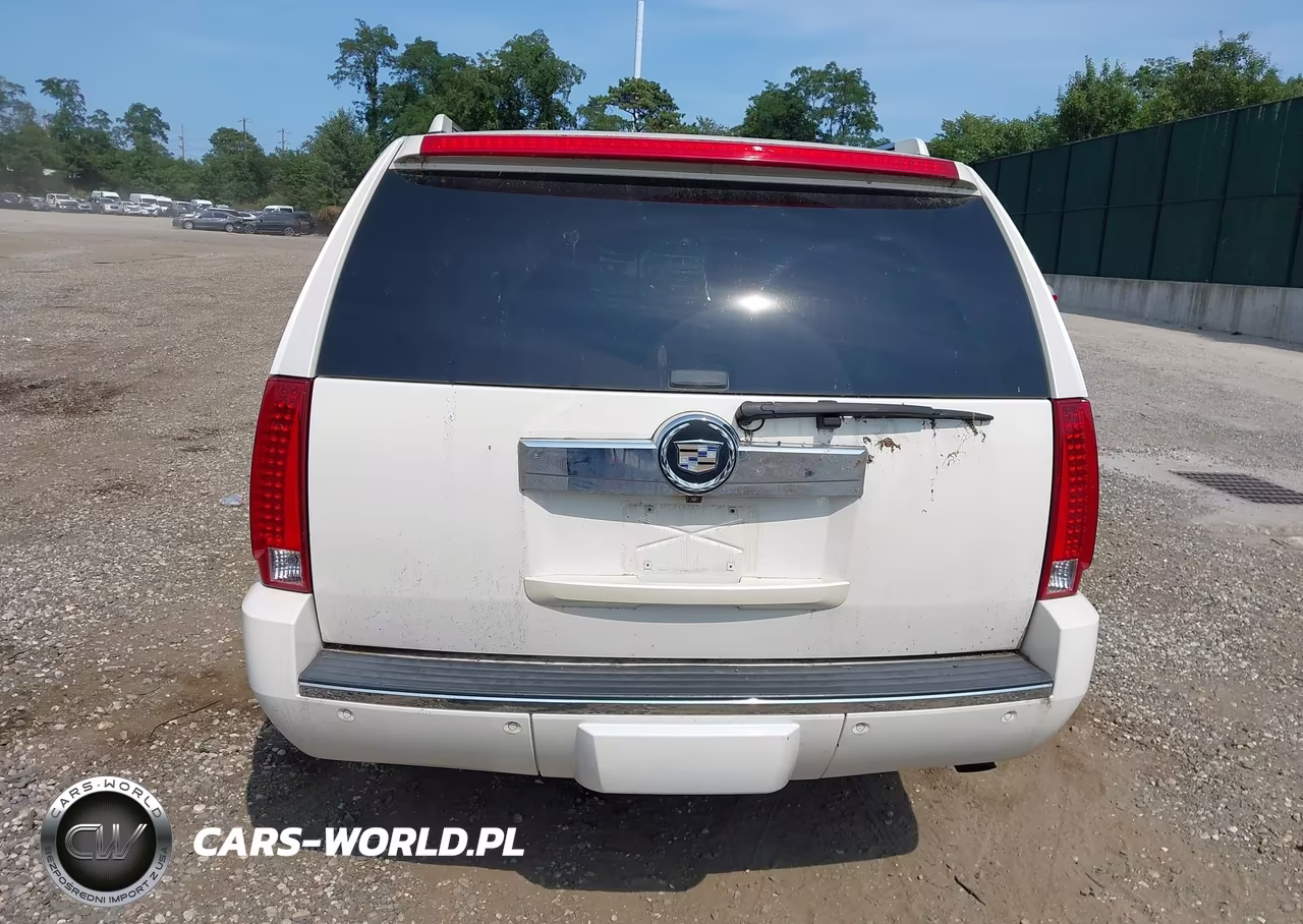 2010 Cadillac Escalade Esv Premium VIN:1GYUKJEF7AR107021 - 16