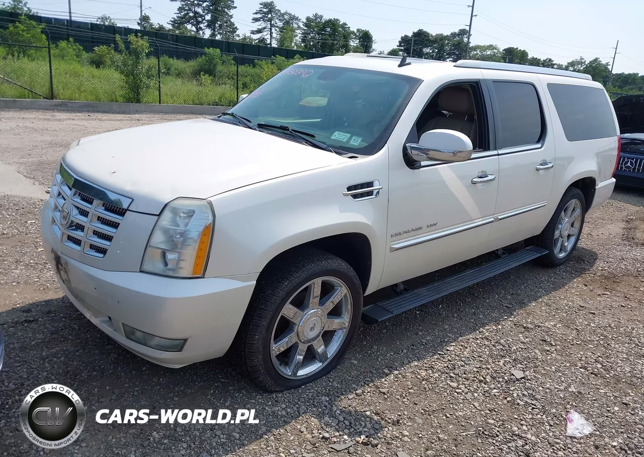 2010 Cadillac Escalade Esv Premium VIN:1GYUKJEF7AR107021 - 2