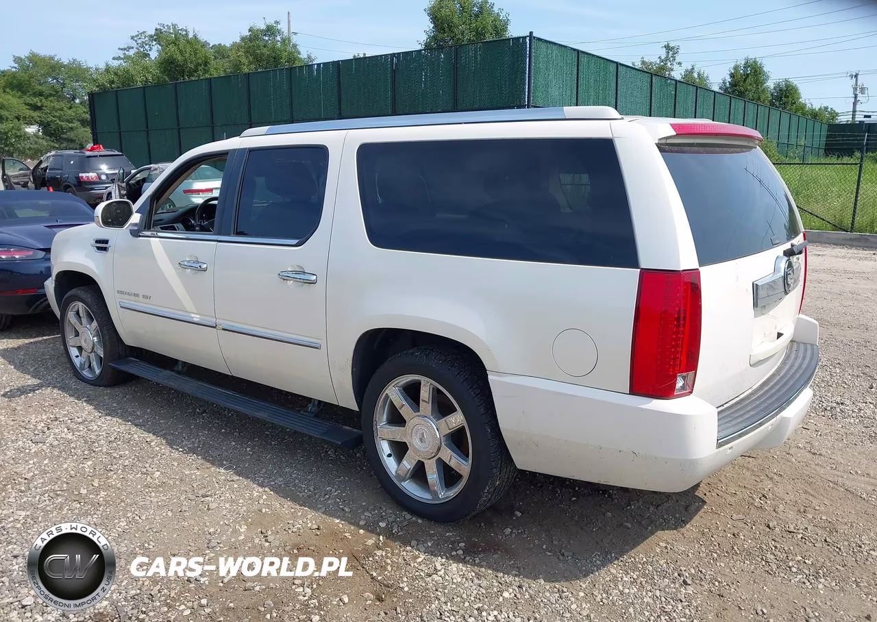 2010 Cadillac Escalade Esv Premium VIN:1GYUKJEF7AR107021 - 3