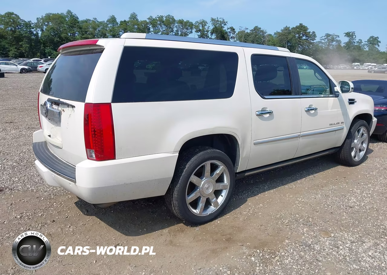 2010 Cadillac Escalade Esv Premium VIN:1GYUKJEF7AR107021 - 4