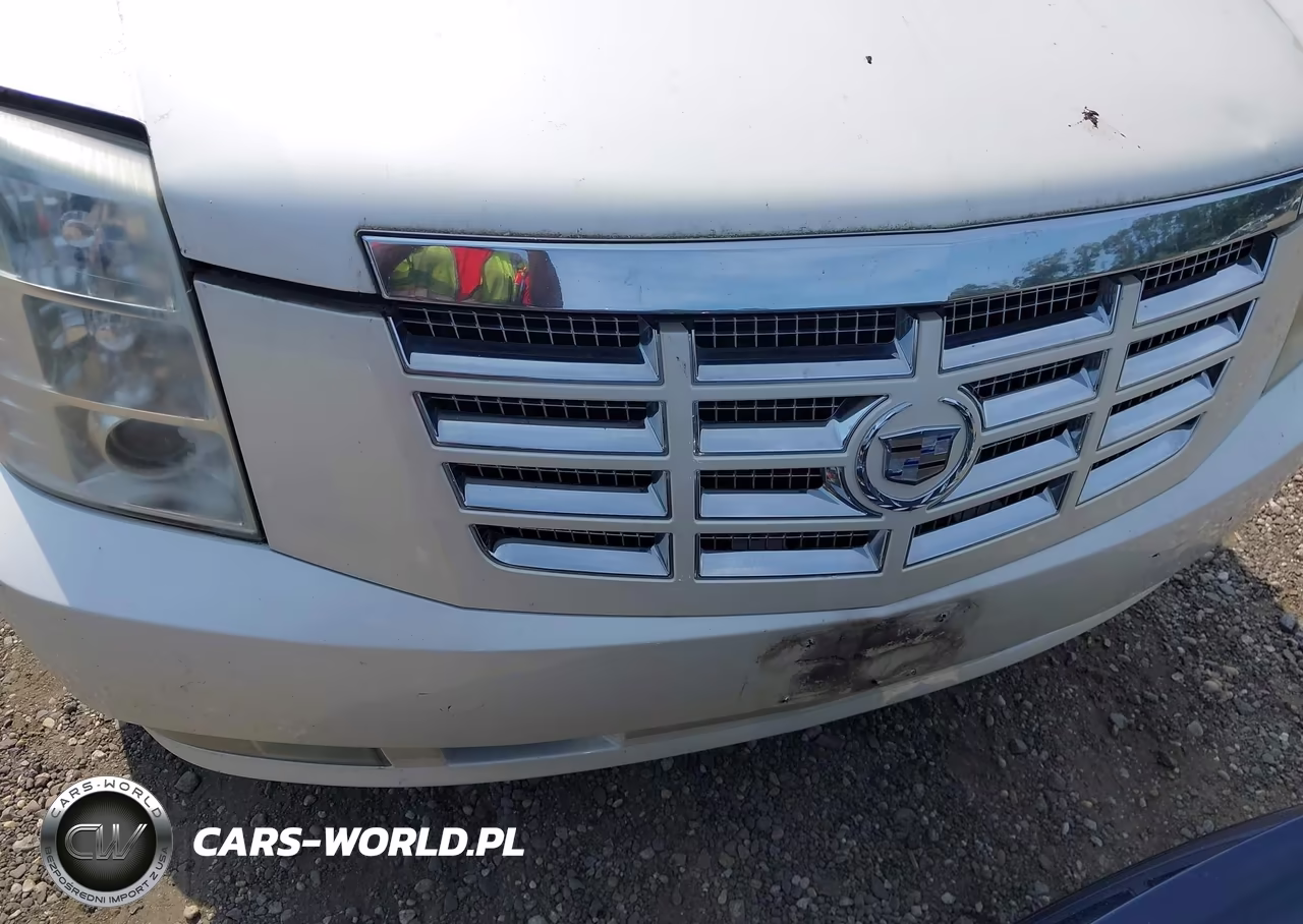2010 Cadillac Escalade Esv Premium VIN:1GYUKJEF7AR107021 - 6