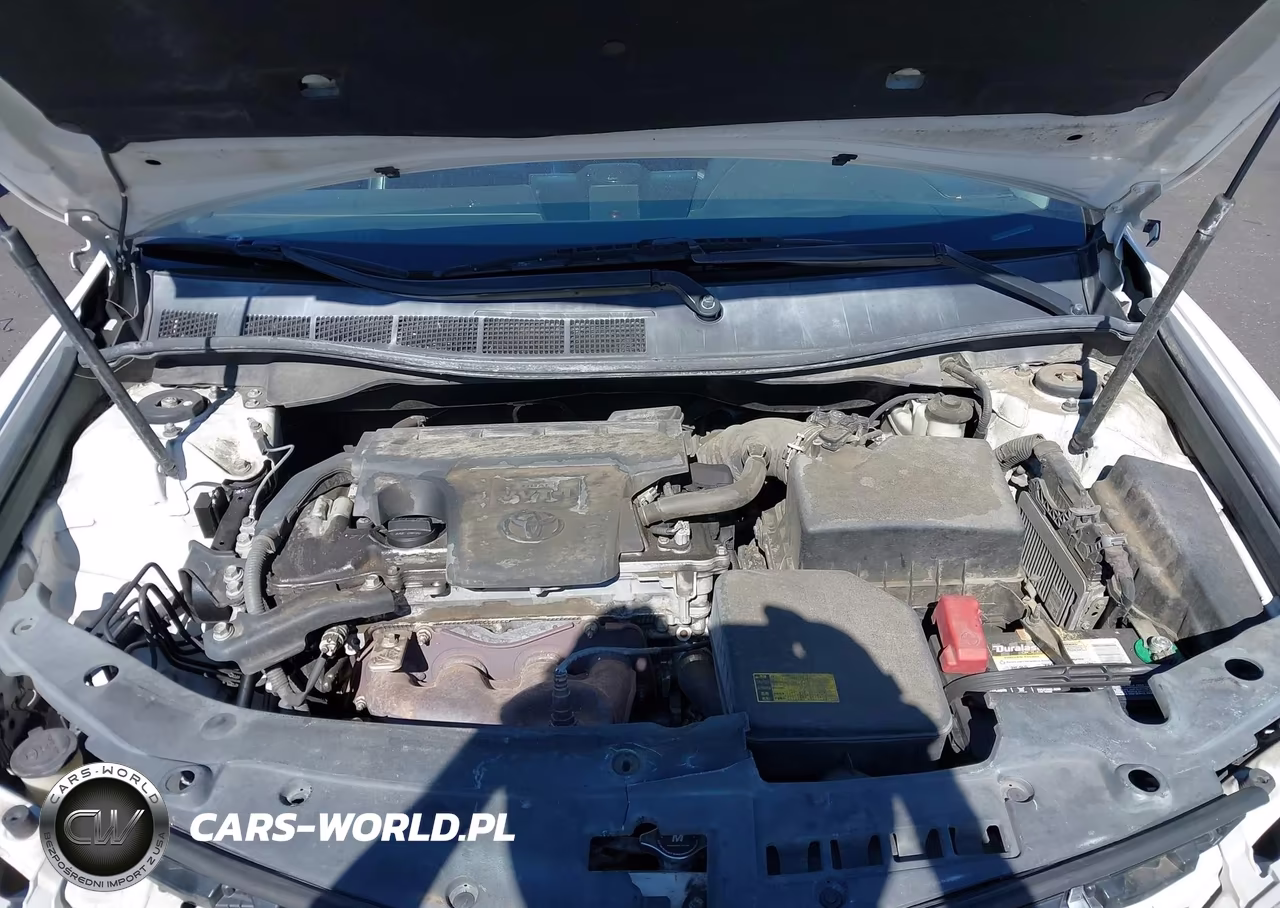 2013 Toyota Camry Se VIN:4T1BF1FKXDU237935 - 10