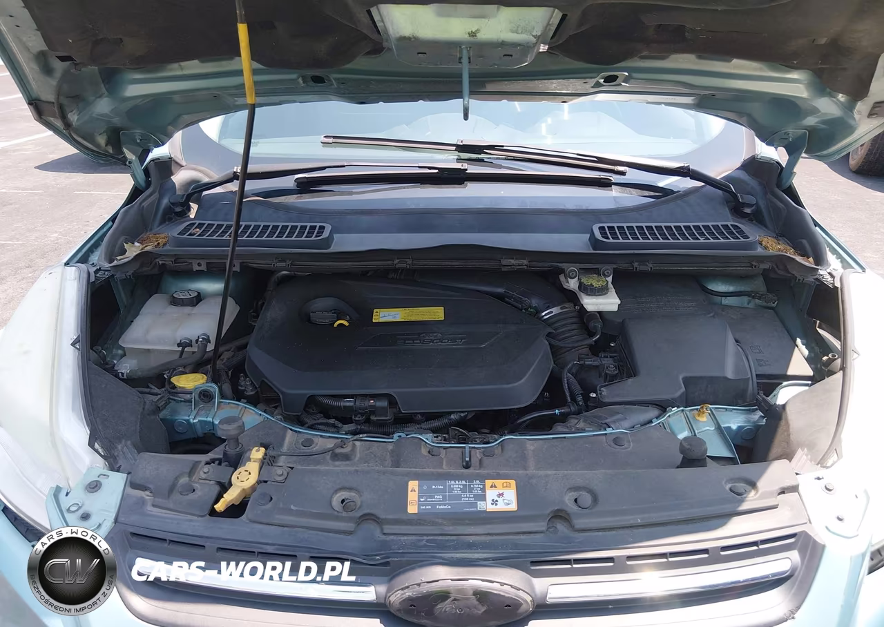 2013 Ford Escape Se VIN:1FMCU0GX5DUB71499 - 10