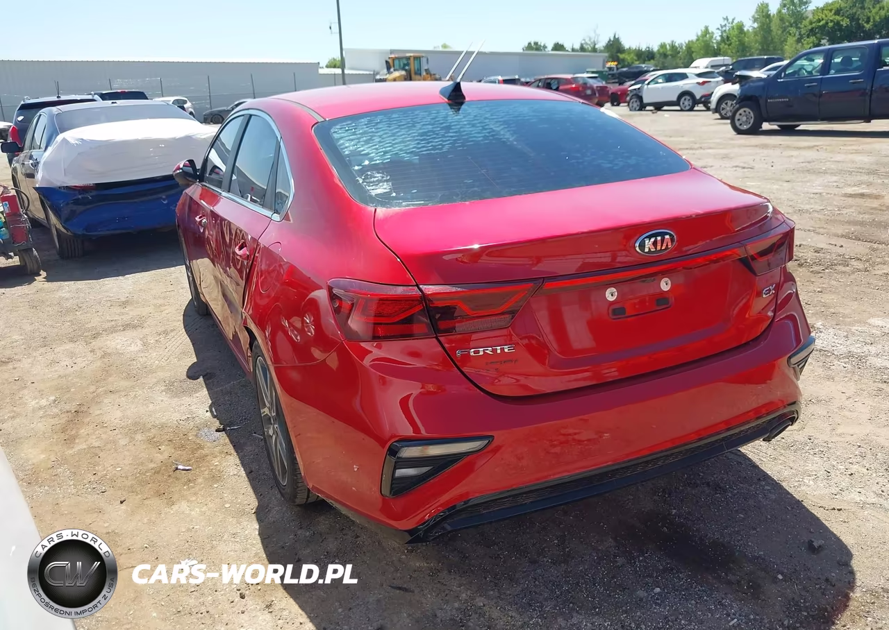 2019 Kia Forte Ex VIN:3KPF54AD1KE055880 - 3