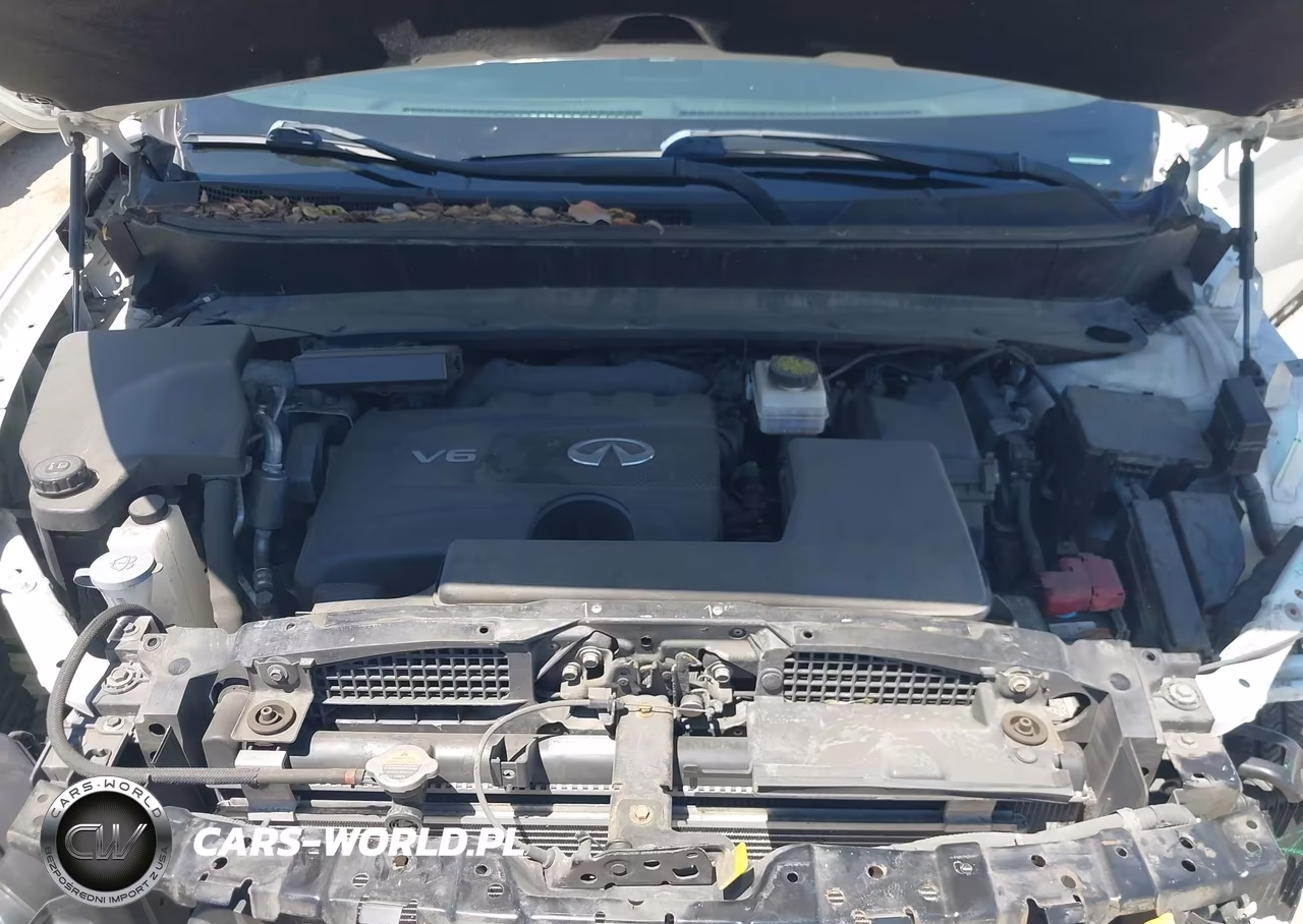 2018 Infiniti Qx60 VIN:5N1DL0MN5JC502979 - 10