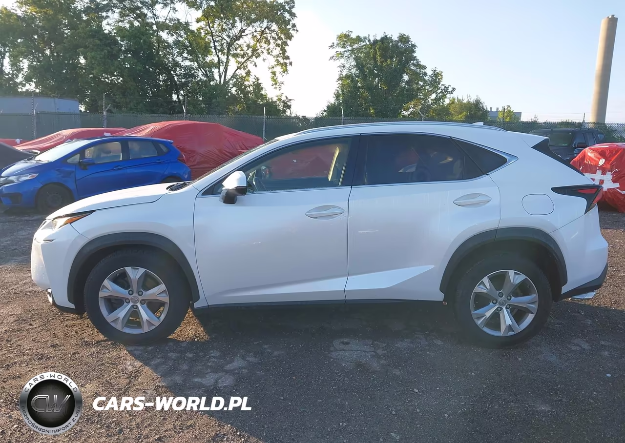 2017 Lexus Nx 200T VIN:JTJBARBZ5H2115681 - 13