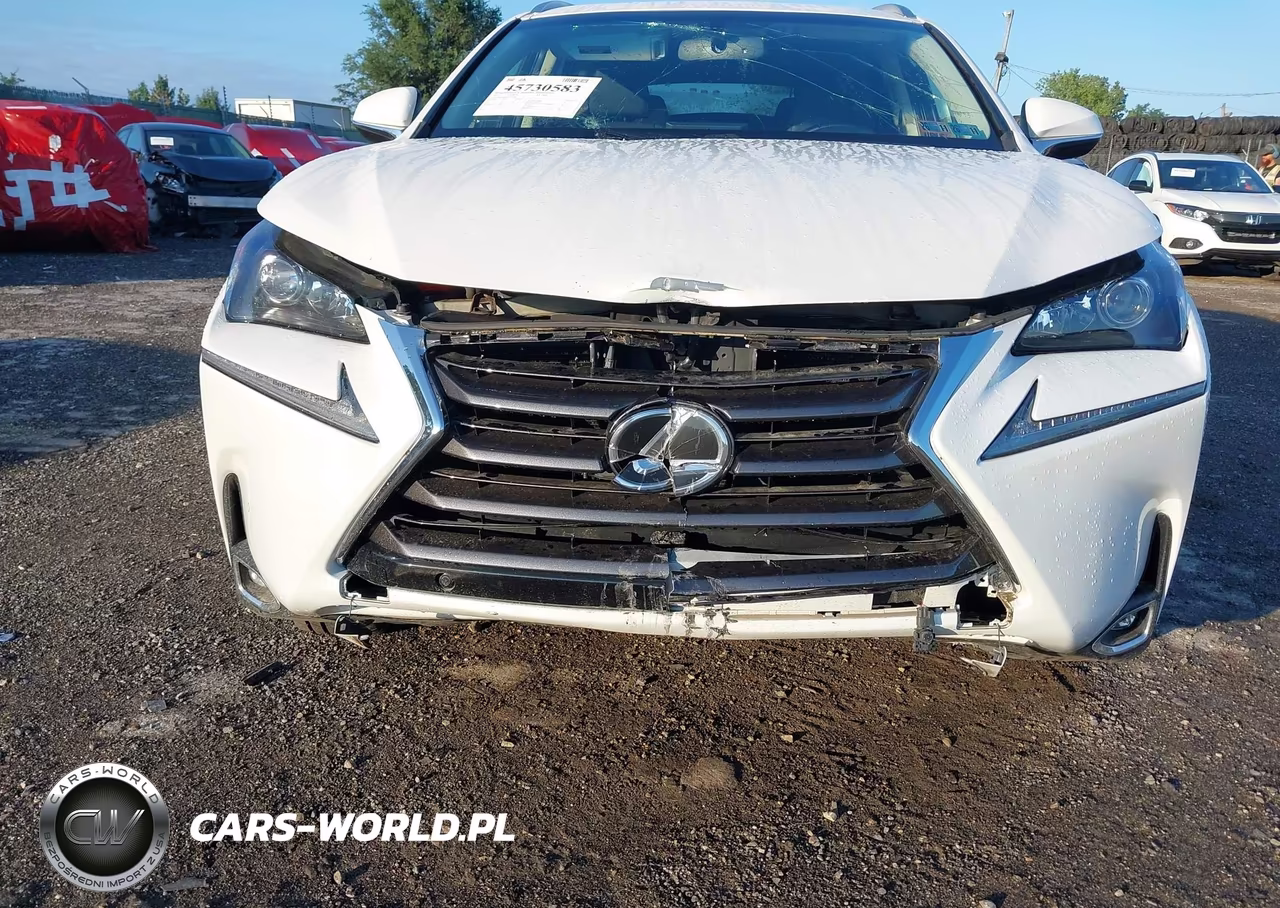 2017 Lexus Nx 200T VIN:JTJBARBZ5H2115681 - 6