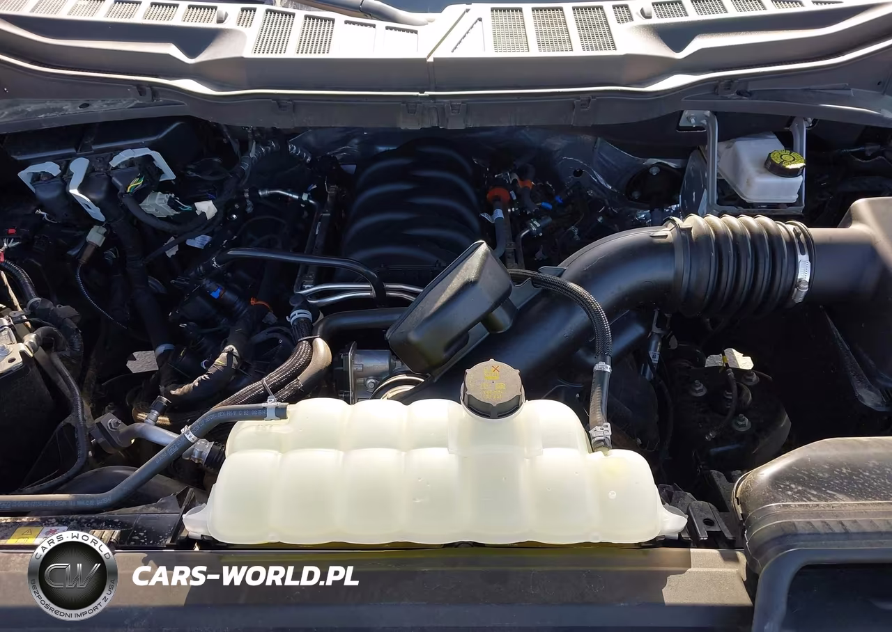 2025 Ford F-150 Xlt VIN:1FTEW3K57SKE28203 - 10