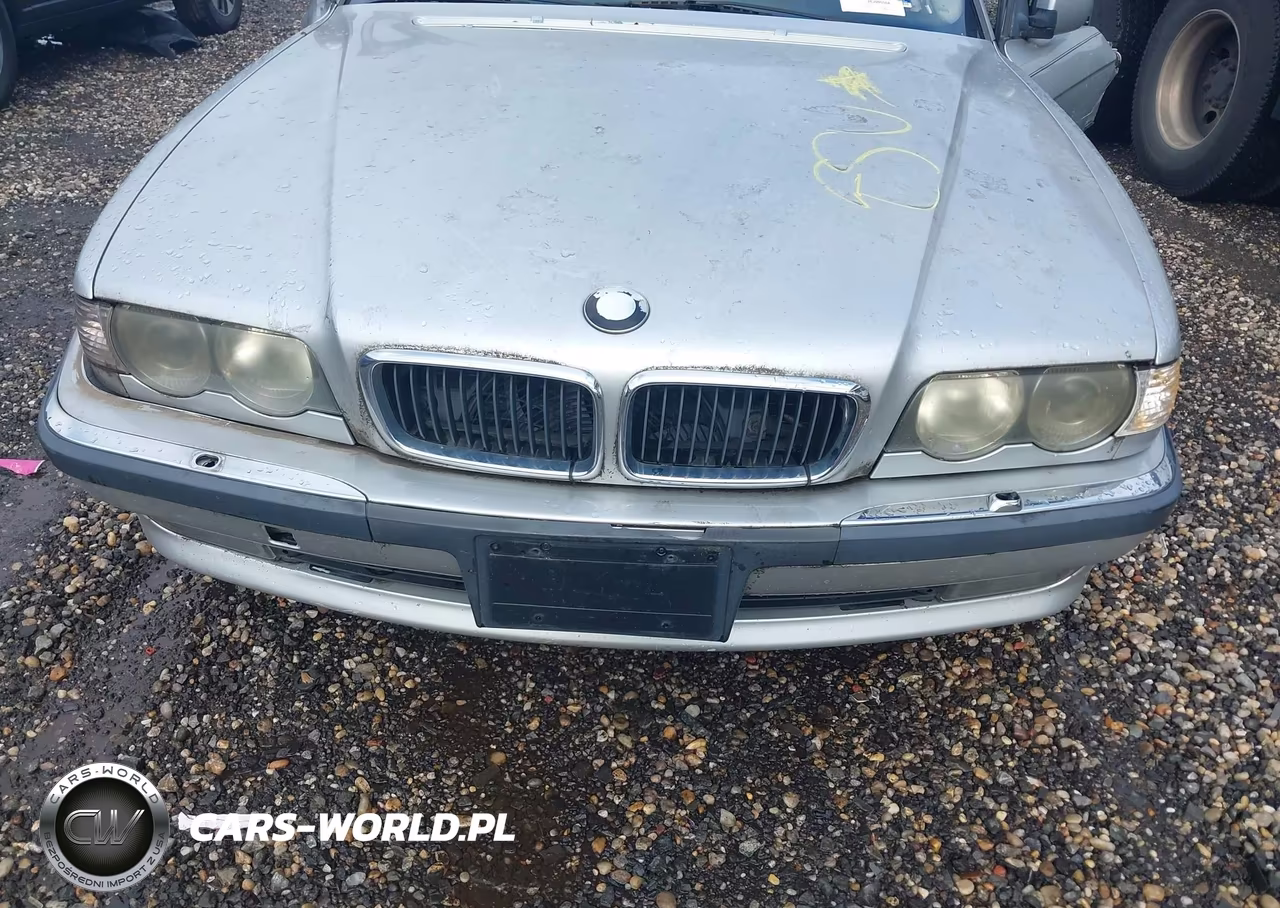 2001 BMW 740Il VIN:WBAGH83471DP21931 - 10