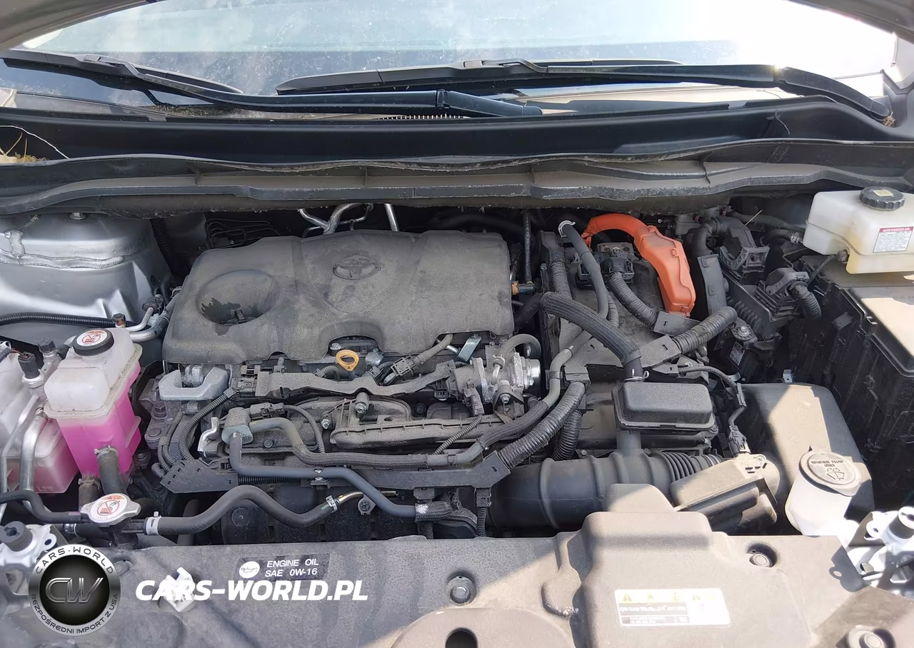 2024 Toyota Sienna Xle VIN:5TDYSKFC0RS149738 - 10
