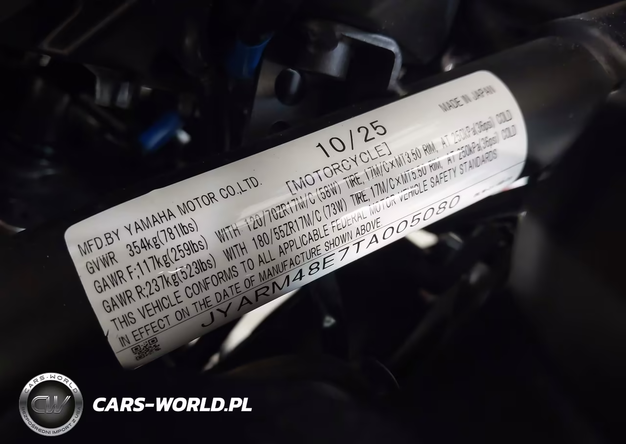 2026 Yamaha Mtn690 VIN:JYARM48E7TA005080 - 10