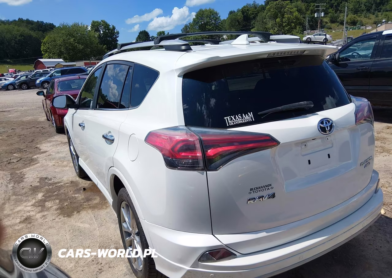 2017 Toyota Rav4 Platinum VIN:2T3DFREV4HW581437 - 3