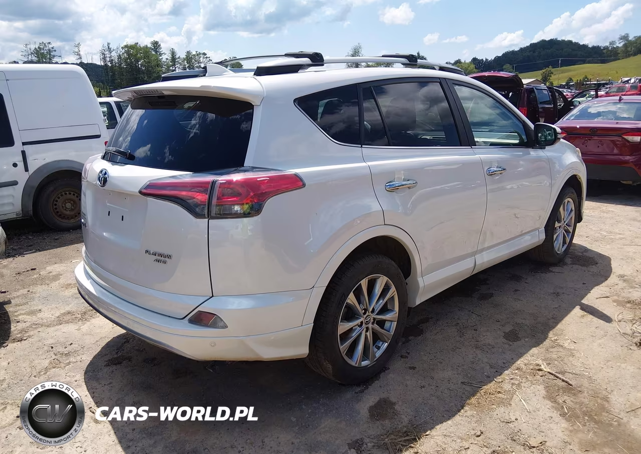 2017 Toyota Rav4 Platinum VIN:2T3DFREV4HW581437 - 4