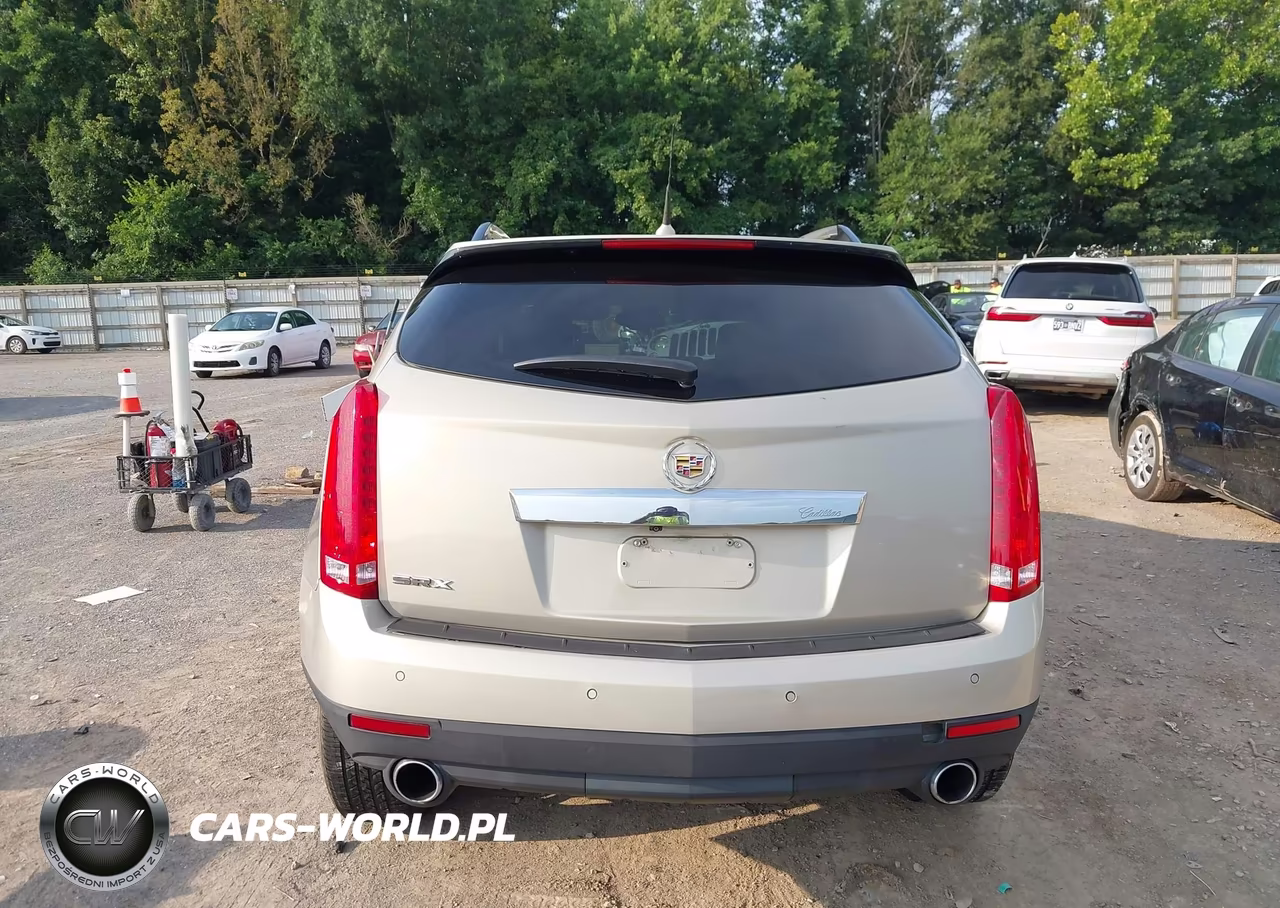2010 Cadillac Srx Luxury Collection VIN:3GYFNAEY0AS631884 - 17