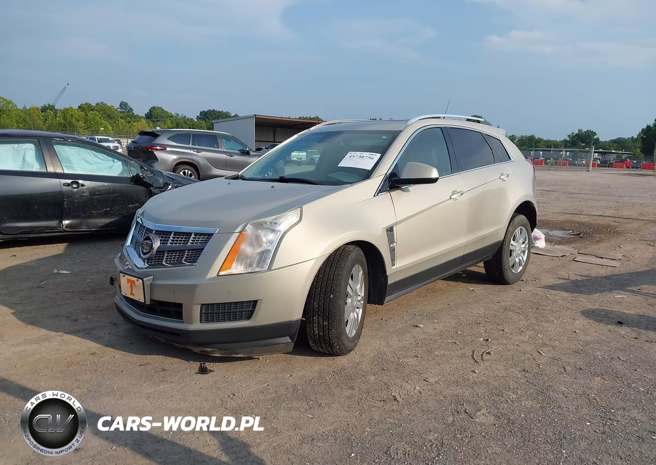 2010 Cadillac Srx Luxury Collection VIN:3GYFNAEY0AS631884 - 2