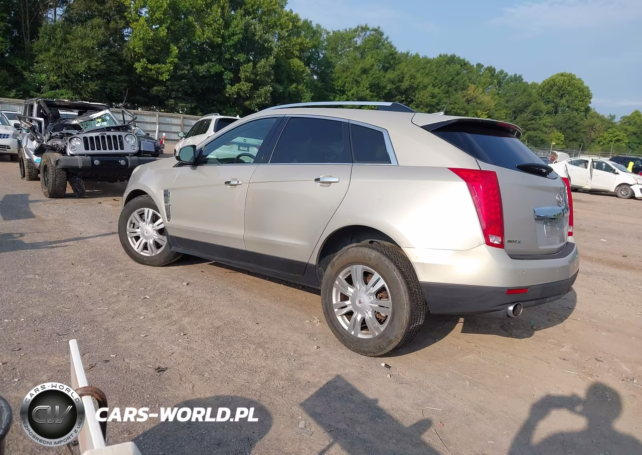 2010 Cadillac Srx Luxury Collection VIN:3GYFNAEY0AS631884 - 3
