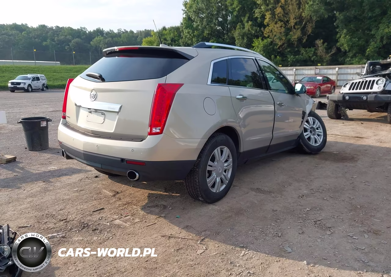 2010 Cadillac Srx Luxury Collection VIN:3GYFNAEY0AS631884 - 4