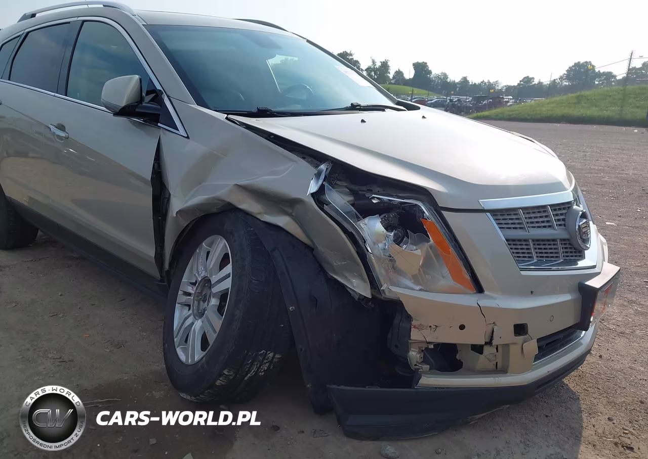 2010 Cadillac Srx Luxury Collection VIN:3GYFNAEY0AS631884 - 6