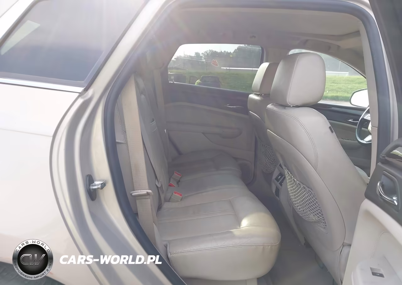 2010 Cadillac Srx Luxury Collection VIN:3GYFNAEY0AS631884 - 8
