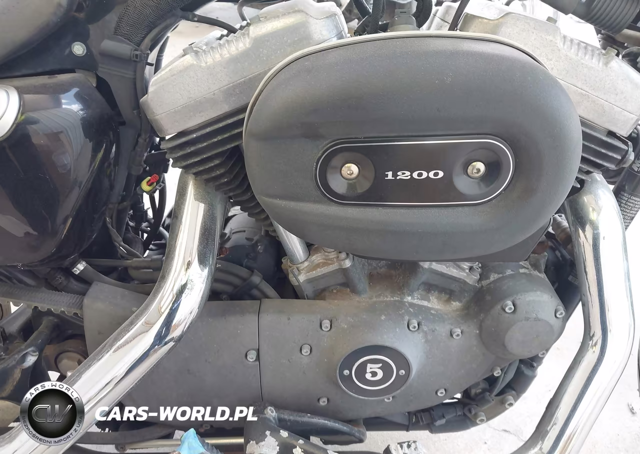 2009 Harley-Davidson Xl1200 N VIN:1HD1CZ3179K411528 - 8