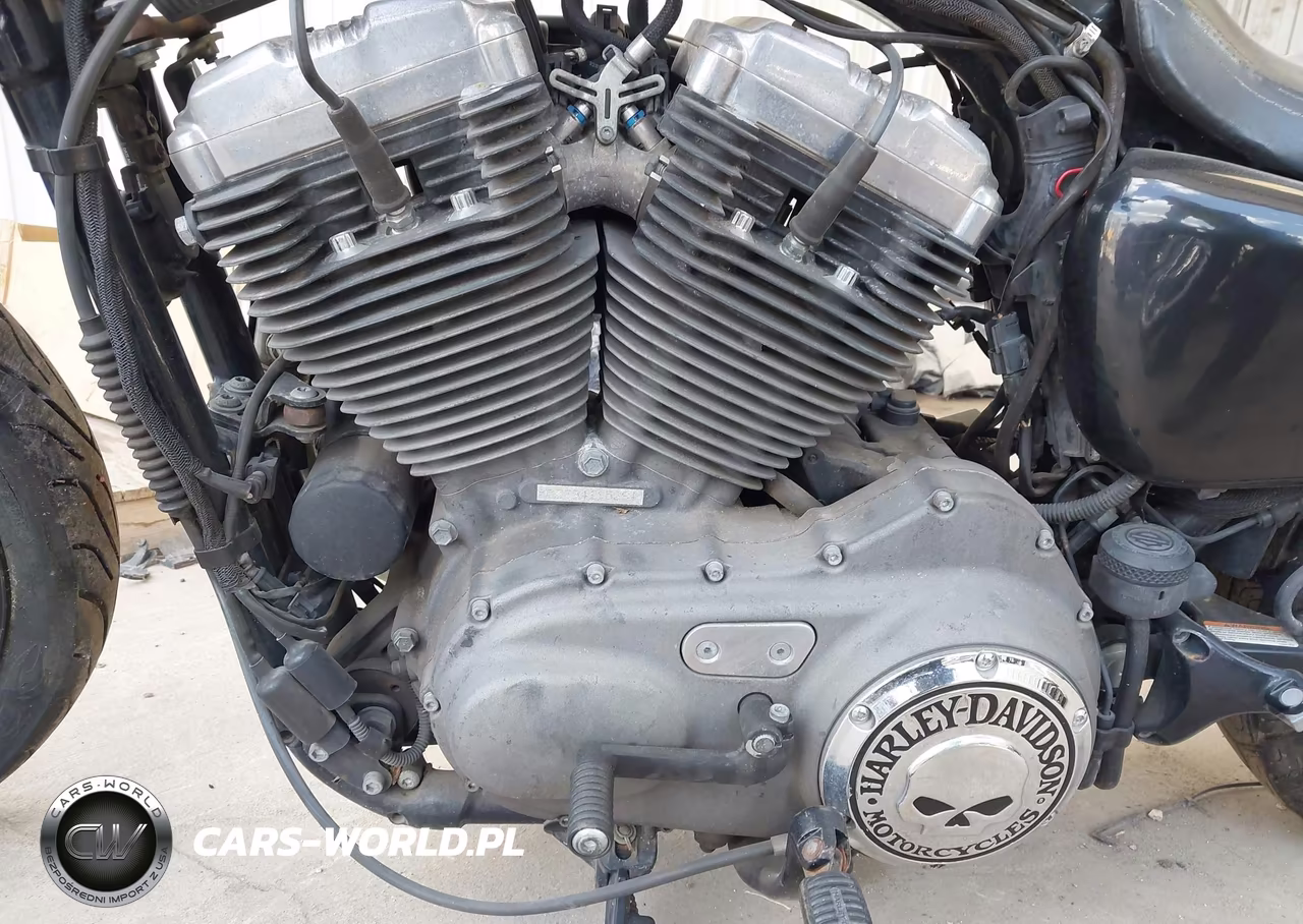 2009 Harley-Davidson Xl1200 N VIN:1HD1CZ3179K411528 - 9
