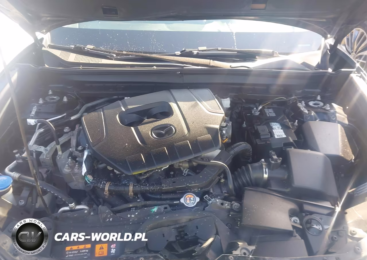2023 Mazda Cx-30 2.5 S Select VIN:3MVDMBBM1PM532428 - 10