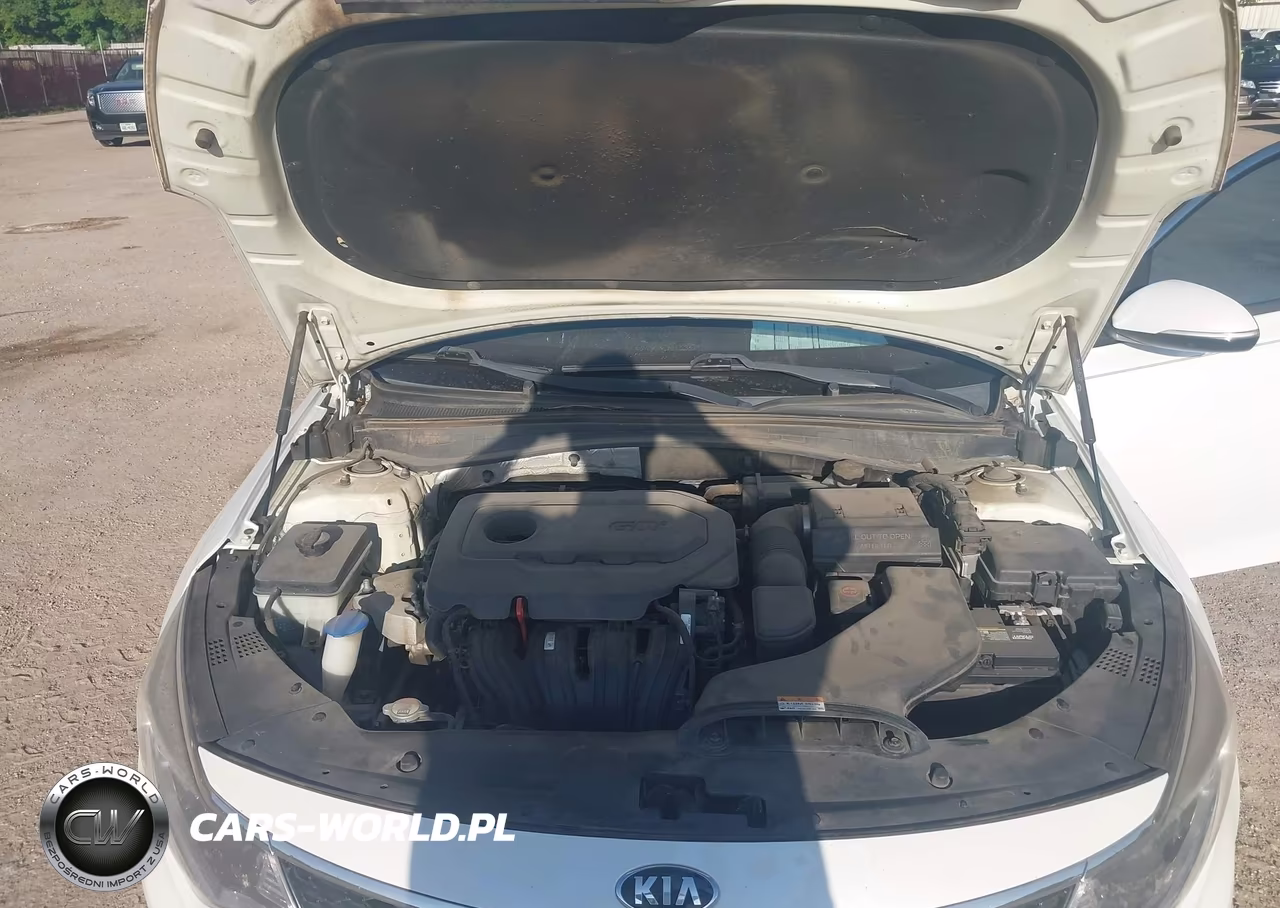 2017 Kia Optima Lx VIN:KNAGT4L34H5137893 - 10