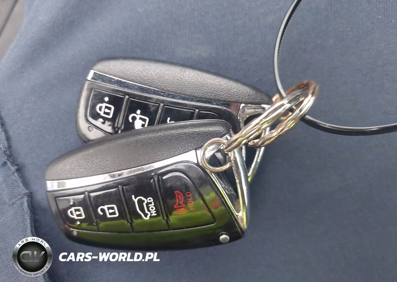 2013 Hyundai Santa Fe Sport 2.0T VIN:5XYZUDLA0DG055877 - 11