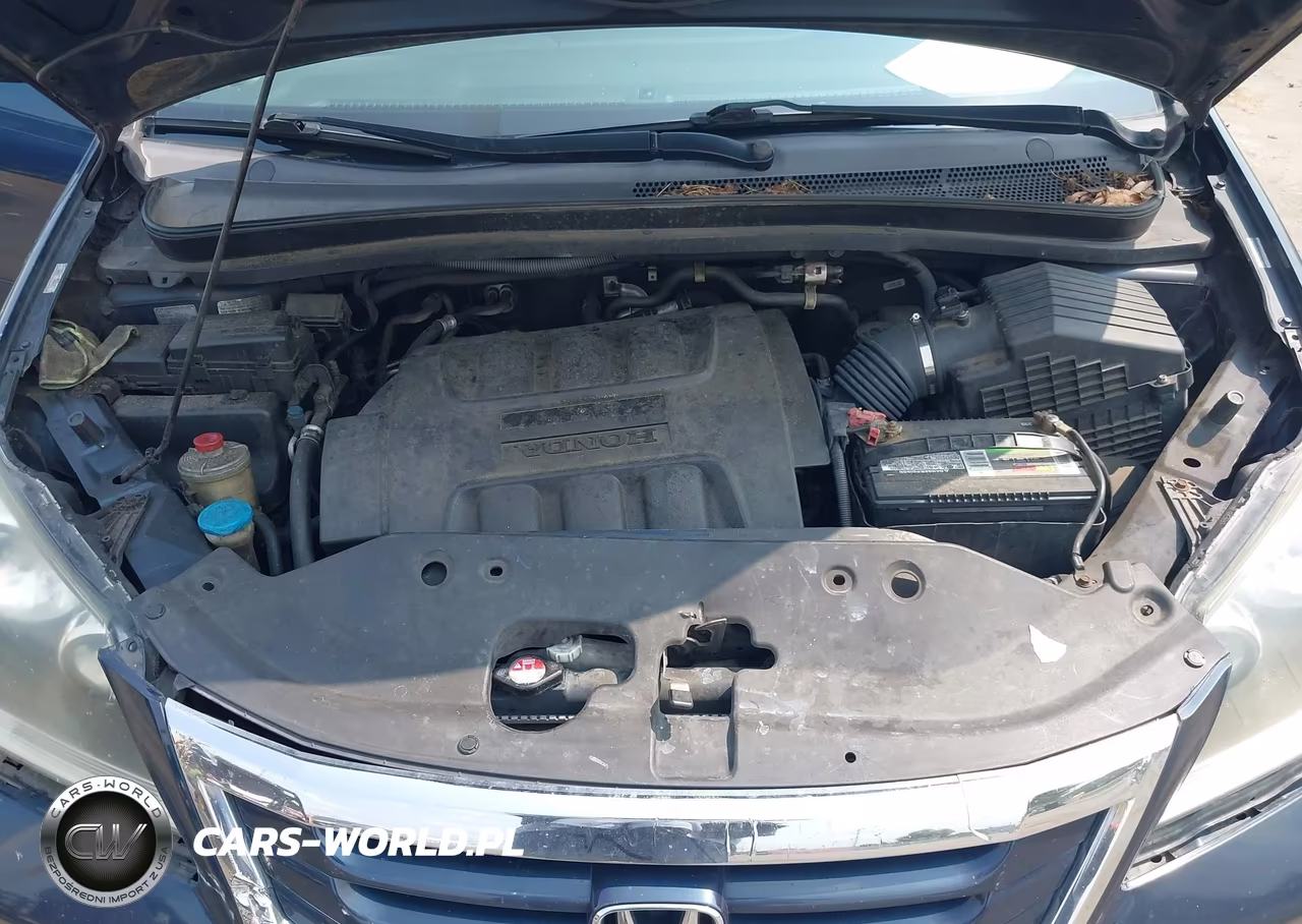 2009 Honda Odyssey Ex VIN:5FNRL38429B412393 - 10